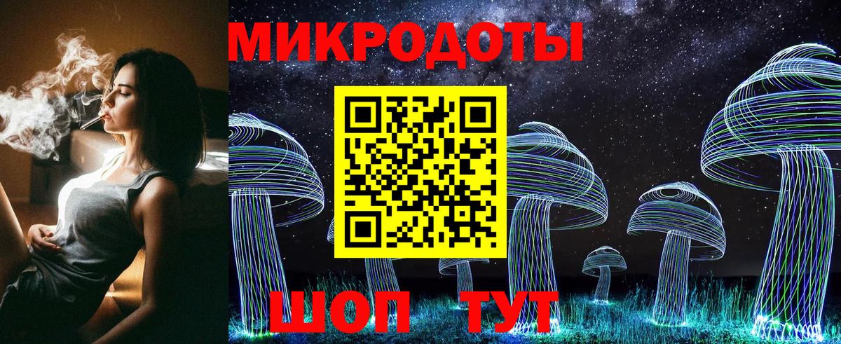Псилоцибиновые грибы Psilocybine cubensis Воронеж